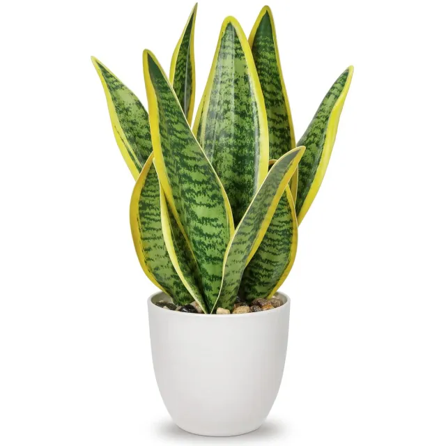 Famanu Sansevieria kunstplant in keramische pot, kleine kamerplant, kunstmatige slangenplant, perfect voor badkamer, slaapkamer, thuis en kantoor, decoratie, hoogte 33 cm Zwart