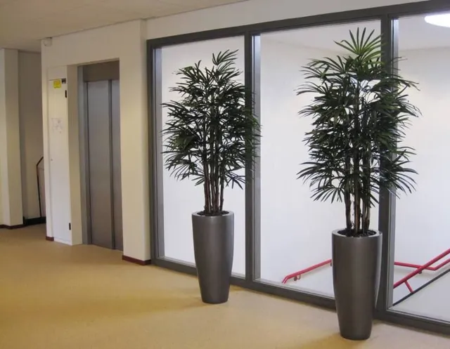 maxifleur Kunstplanten Raphis kunstpalm deluxe 160cm - FR - brandvertragend Groen