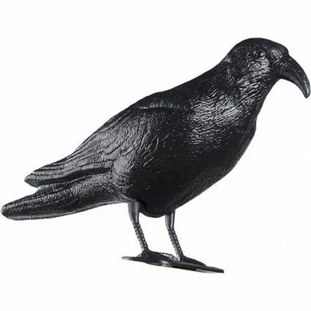 Maxy Plastic vogelverschrikker kraai/raaf zwart