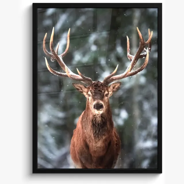 FrameYourWall Poster in lijst - Fotolijst 50x70 cm - Posters - Hert - Winter - Sneeuw - Bos - Natuur - Dier - Posterlijst zwart - Decoratie - Wanddecoratie woonkamer - Muurdecoratie slaapkamer