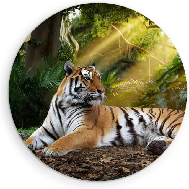 Saammp Forex Muurcirkel - Tijger in de zon - Natuur - Dieren - Ø 90 - Wandcirkel - Wanddecoratie Cirkel - muurdecoratie Woonkamer - Slaapkamer decoratie - Rond Schilderij