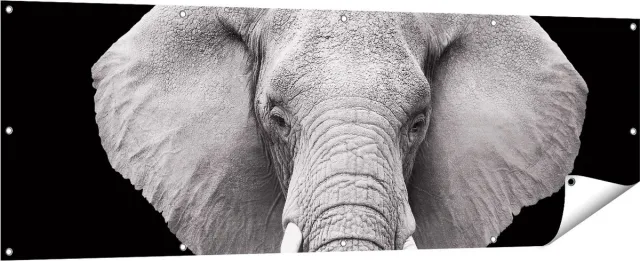 Gards Tuinposter Olifant - Zwart Wit - 180x60 cm - Tuindoek - Tuindecoratie - Wanddecoratie buiten - Tuinschilderij