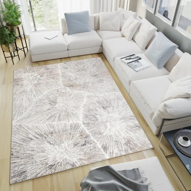 Tapiso Valley Vloerkleed Tapijten Woonkamer Abstract Laagpolig Beige Grijs1
