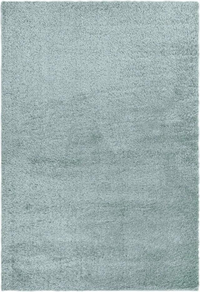 Eazy Living Easy Living - Payton-Duck Egg Vloerkleed - 200x290 - Rechthoek - Laagpolig Tapijt - Modern - Blauw
