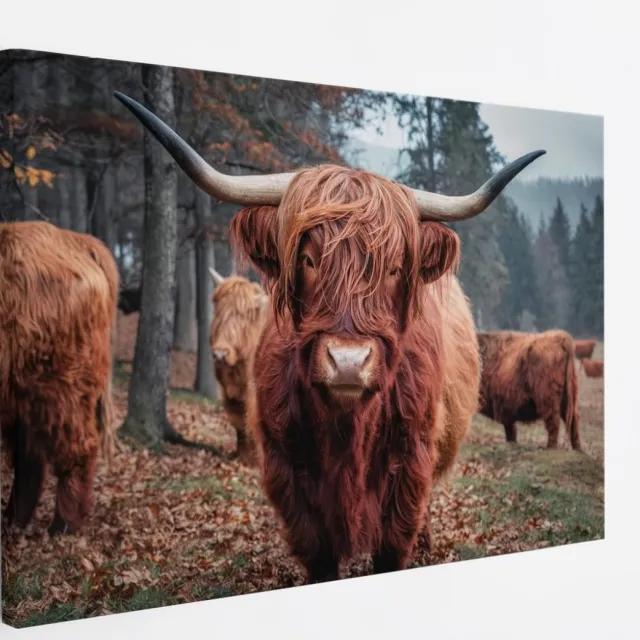 Saammp Canvas Schilderij Schotse Hooglander Koe - Dieren - Natuur - 150x100 - Foto op canvas - Wanddecoratie - muurdecoratie Woonkamer - Slaapkamer decoratie - Canvas Print Multicolor