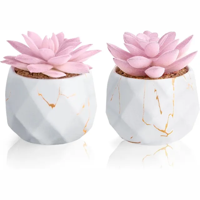 Ibenzoa Keramische Succulenten Set - Twee Variërende Planten voor Interieur Styling roze