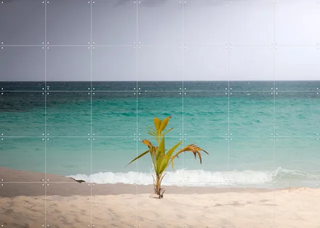 IXXI Lonely Palm On Quiet Tropical Beach, Claire Droppert - 140 x 100 cm - Grote wanddecoratie en posters - Fotografie, Strandhuis, Woonkamer, Gang Beige / Groen / Blauw