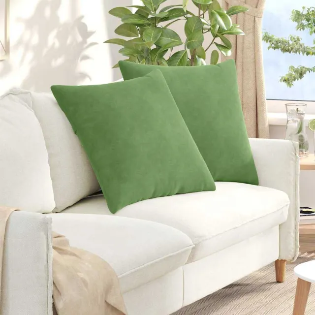 vidaXL Sofa Kussens 2 st fluweel Lichtgroen 60 x 60 cm