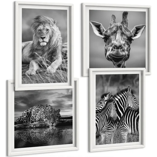 TULUP 4-Delige Schilderij Set - Wilde dieren: leeuw, jaguar, giraffe en zebra's - 40x40 en 40x60 - Decoratieve Schilderijen - Woonkamer - Interieur - Moderne Wanddecoratie Witte lijst