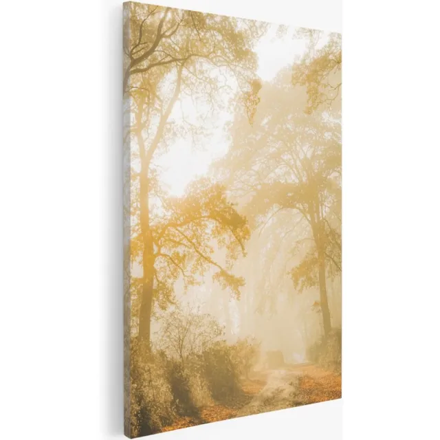 Saammp Canvas Schilderij - Lichtval tussen de Bomen - Landschap - Natuur - 80x120 - Foto op canvas - Wanddecoratie - Muurdecoratie Woonkamer - Slaapkamer decoratie - Canvas Print Multicolor