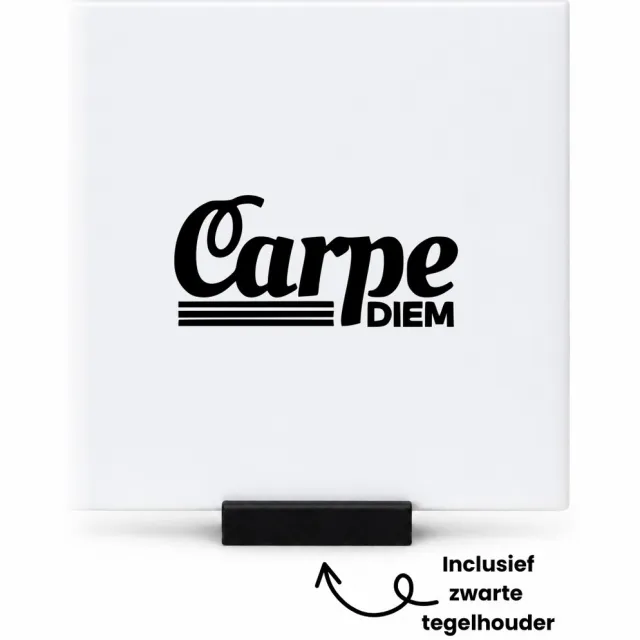 Hacebo Carpe diem tegeltje met tegelhouder - Carpe diem - Iemand die moet genieten van elke dag - tegeltjes met tekst - Pluk de dag - cadeau - spreuktegels - 10.8x10.8 CM Wit
