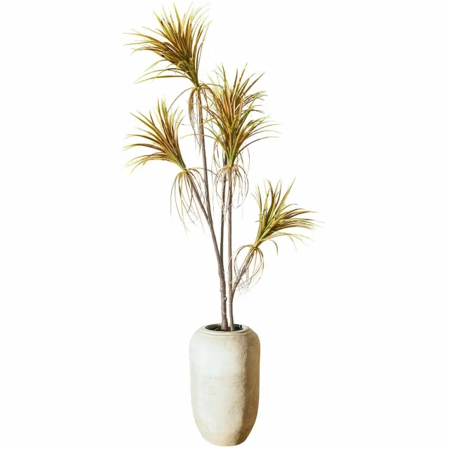 Loberon Decoratieve potplant Ancerac bruin/groen