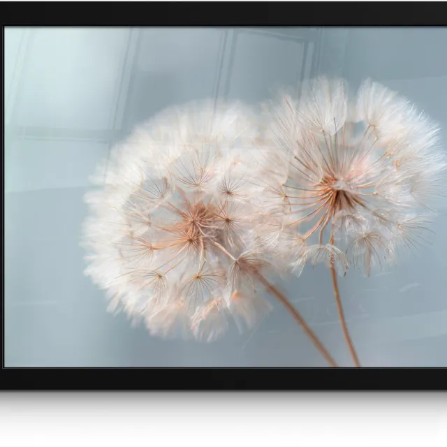 FrameYourWall Poster in lijst - Fotolijst 40x30 cm - Posters - Paardenbloemen - Pluisjes - Wit - Posterlijst zwart - Decoratie - Wanddecoratie woonkamer - Muurdecoratie slaapkamer