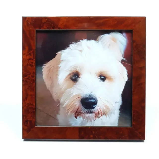 Alle lijsten AL - Wortelnoten Fotolijst - 15 x 15 cm rood bruin8