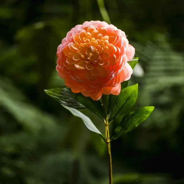 Silk-ka Dahlia bloem Steel Perzik 62 cm Silk-Ka zalm