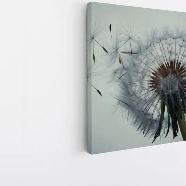 Saammp Canvas Schilderij - Dandelion met zaadjes in de wind - Natuur - Bloemen - 20x20 - Foto op canvas - Wanddecoratie - Muurdecoratie Woonkamer - Kantoor Decoratie Multicolor