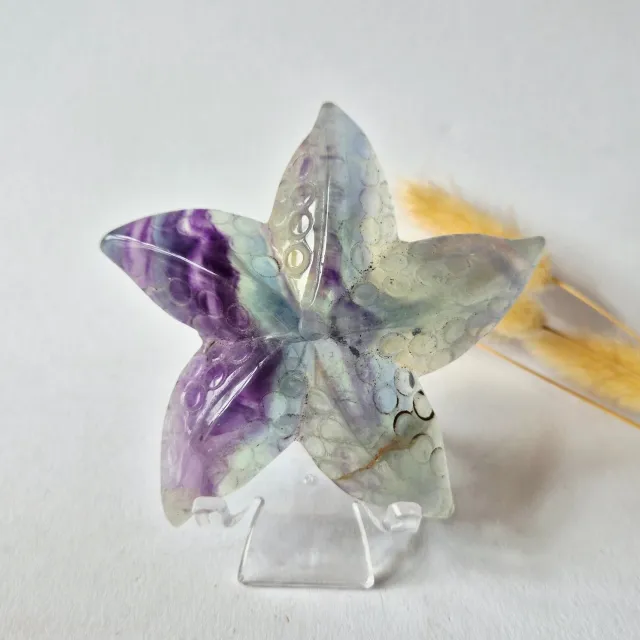 Moonlight Gemstones Regenboog Fluoriet Zeester Carving – ca. 10 cm #2 Meerkleurig