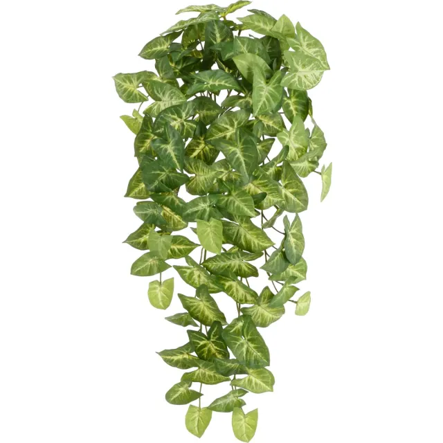 maxifleur Kunstplanten Syngonium Arrow Kunst Hangplant 60cm Groen