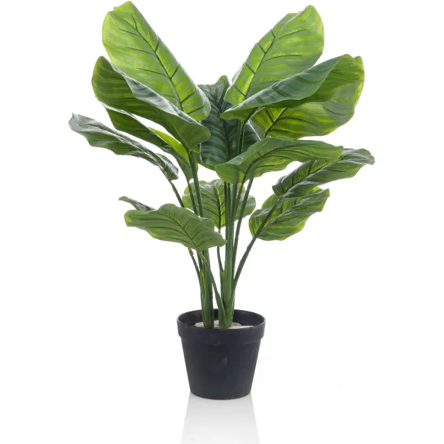Emerald Kunstplant Calathea Orbifolia 70cm - Kunstplant voor binnen Groen