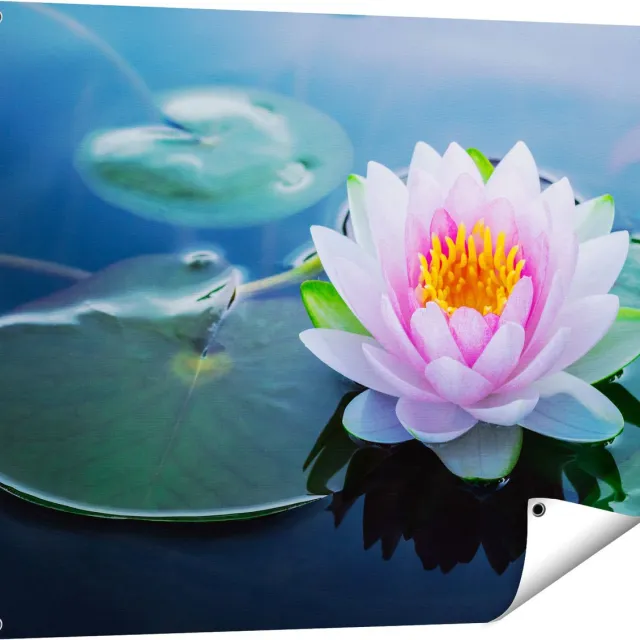 Gards Tuinposter Roze Lotusbloem met Waterlelies - 100x80 cm - Tuindoek - Tuindecoratie - Wanddecoratie buiten - Tuinschilderij Multikleur
