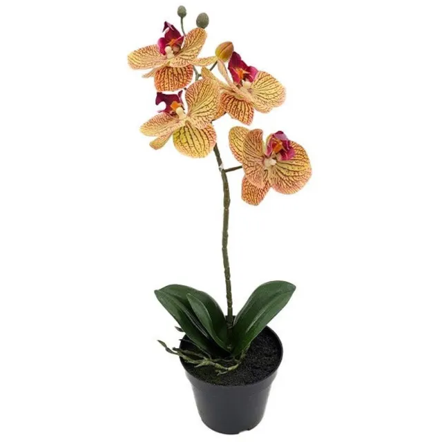 Buitengewoon Boet Phalaenopsis Orchidee in pot x1 50 cm Tiger Yellow kunstplant Buite... geel