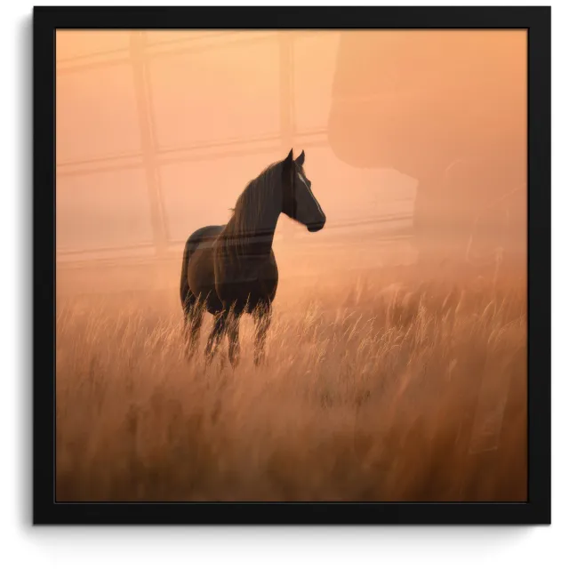 FrameYourWall Poster in lijst - Fotolijst 40x40 cm - Posters - Paard - Grasveld - Zonsondergang - Posterlijst zwart - Decoratie - Wanddecoratie woonkamer - Muurdecoratie slaapkamer