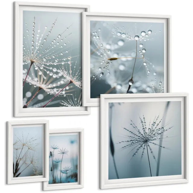 Coloray 5-Delige Schilderij Set - Waterdruppels Op Planten In Een Minimalistische Stijl - 50 x 50 cm, 20 x 30 cm En 40 x 60 cm - Stijlvolle Wanddecoratie - Interieur - Interieur Decoratie Witte lijst