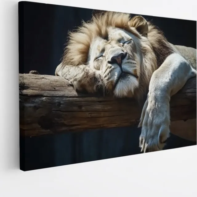 Saammp Canvas Schilderij - Slapende Leeuw op boomstronk - Dieren - Natuur - 45x30 - Foto op canvas - Wanddecoratie - Muurdecoratie Woonkamer - Slaapkamer decoratie - Canvas Print Multicolor