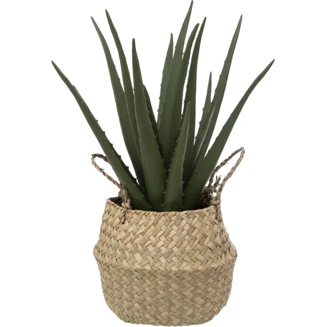 Atmosphera Créateur d'intérieur® Kunstplant ALOË in mand, 37 cm Beige