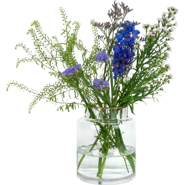 QUVIO Vaas van glas - Vaas met gouden randje - Vazen - Woonaccessoires - Droogbloemen vaas - Brede vaas - Voor binnen - Decoratieve accessoires - Glas - 15 x 18 cm (lxb) Transparant
