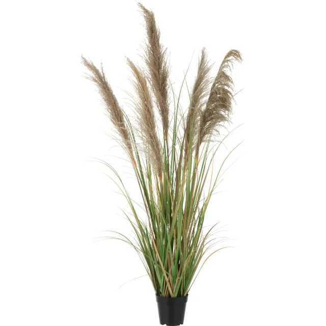J-Line decoratie pampas Gras 5 Koppen in pot - pvc - groen/beige - small
