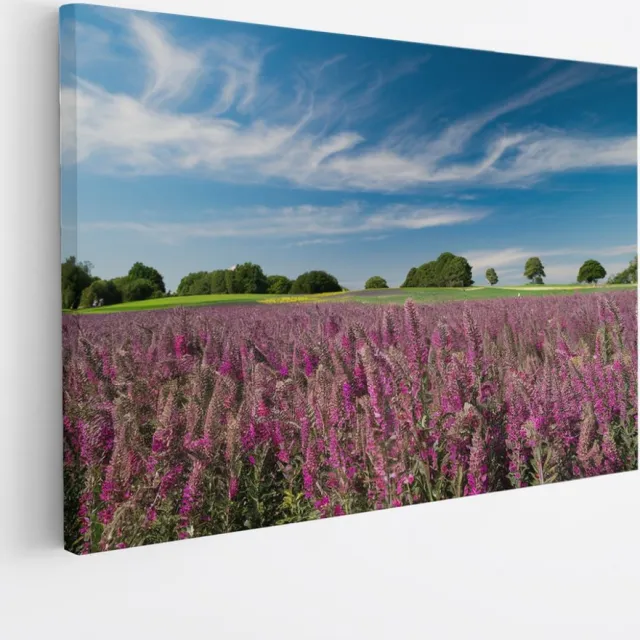 Saammp Canvas Schilderij - Lavendel met mooie blauwe lucht - Natuur - Landschap - 45x30 - Foto op canvas - Wanddecoratie - Muurdecoratie Woonkamer - Slaapkamer decoratie - Canvas Print Multicolor