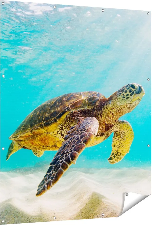 Gards Tuinposter Schildpad Zwemt in de Helder Blauwe Zee - 120x150 cm - Tuindoek - Tuindecoratie - Wanddecoratie buiten - Tuinschilderij Multikleur