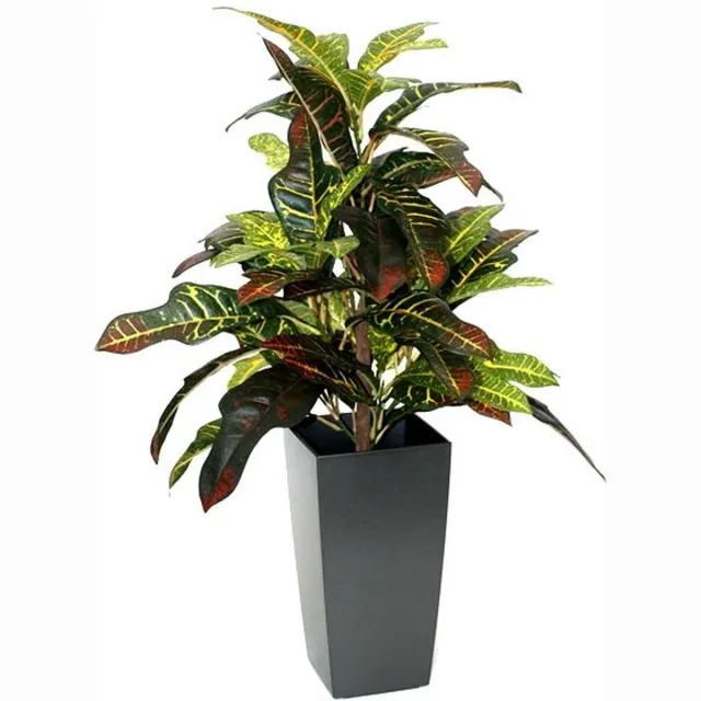 maxifleur Kunstplanten Croton Window kunstplant 50cm Bont
