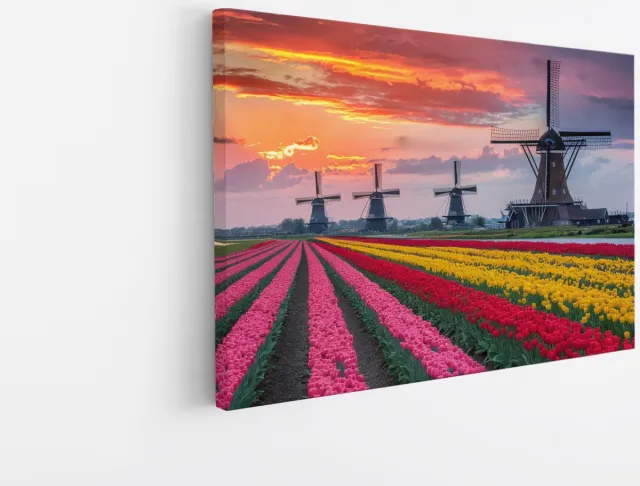 Saammp Canvas Schilderij - Kleurrijk Tulpenveld Met Molens - Natuur - Landschap - 90x60 - Foto op canvas - Wanddecoratie - Muurdecoratie Woonkamer - Slaapkamer decoratie - Canvas Print Multicolor