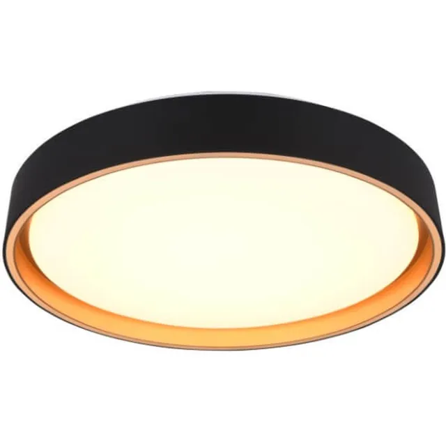 RL LIVE YOUR LIGHT REALITY FELIS - Plafondlamp - Zwart-goud - incl. 1x SMD 24W - Dimbaar - Memory functie - Aanpasbaare lichtkleur