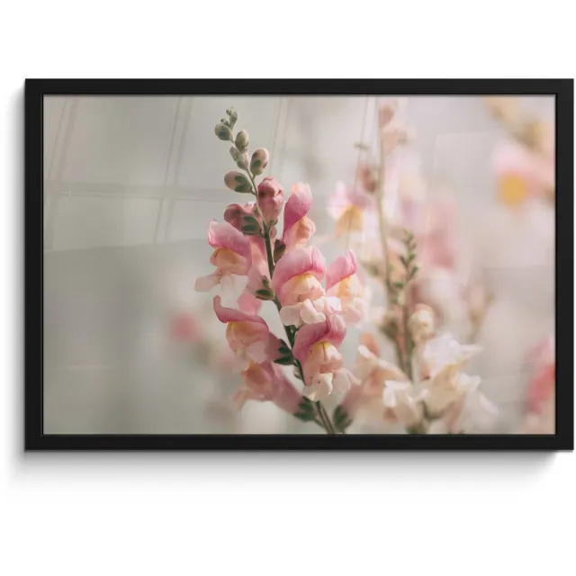 FrameYourWall Poster in lijst - Fotolijst 60x40 cm - Posters - Bloem - Leeuwenbek - Roze - Stengel - Posterlijst zwart - Decoratie - Wanddecoratie woonkamer - Muurdecoratie slaapkamer