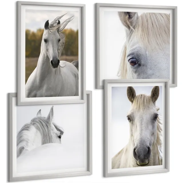 TULUP 4-Delige Schilderij Set - Witte paarden in verschillende houdingen tegen een natuurlijke achtergrond. - 40 x 40 cm en 40 x 60 cm - Wanddecoratie - Muurdecoratie - Moderne Interieurdecoratie - Interieur Decoratie Zilveren lijst