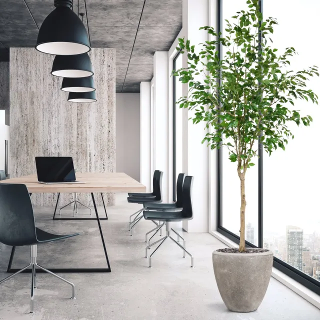 maxifleur Kunstplanten Ficus Exotica Kunstboom op stam 230cm Groen