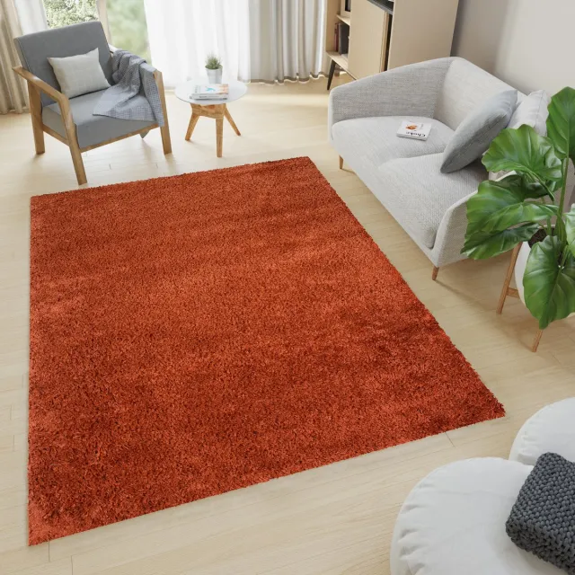 Tapiso Essence Vloerkleed Rood Bruin Hoogpolig Shaggy Tapijt Maat- 300x400