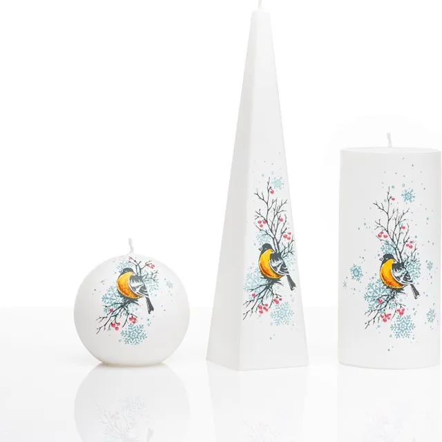 Jakelis Kaarsen - Set Handgeschilderd -vogels - cadeau - sneeuwsterren wit/geel/ lichtblauw/rood