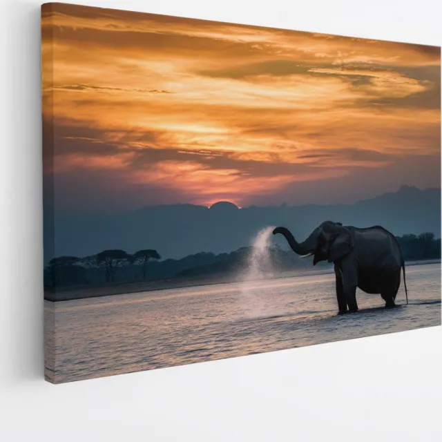 Saammp Canvas Schilderij - Olifanten in het water - Afrika - Dieren - 50x40 - Foto op canvas - Wanddecoratie - muurdecoratie Woonkamer - Slaapkamer decoratie - Canvas Print Multicolor
