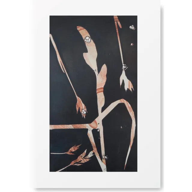 Natuurlijk Angelart Botanische Kunst Poster - Grassen -A4 Formaat - Kunst aan de muur - Wanddecoratie - Woonaccessoire - Decoratie - Relatiegeschenk - van Natuurlijk Angelart Bruin