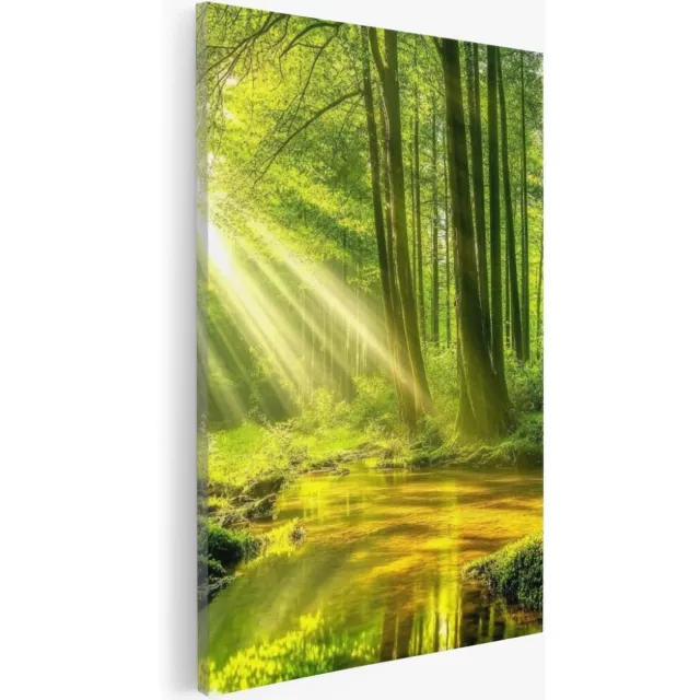 Saammp Canvas Schilderij - Moerras - Zon - Landschap - Natuur - 75x100 - Foto op canvas - Wanddecoratie - Muurdecoratie Woonkamer - Slaapkamer decoratie - Canvas Print Multicolor