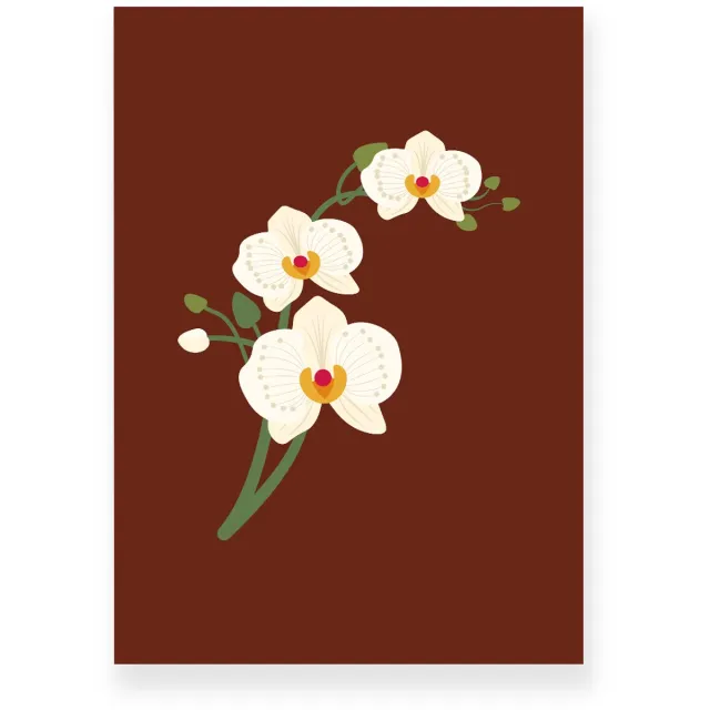 Yisual Poster 30x40 cm - Orchidee - Bloemen - Donkerbruin - Beige - Minimalistisch - Botanisch - Muurdecoratie - Wanddecoratie