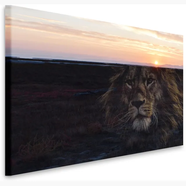 karo-art Schilderij - Leeuw en zonsondergang, prachtig schilderij in 2 beelden, voor woonkamer en slaapkamer, 2 maten, dieren Multikleur