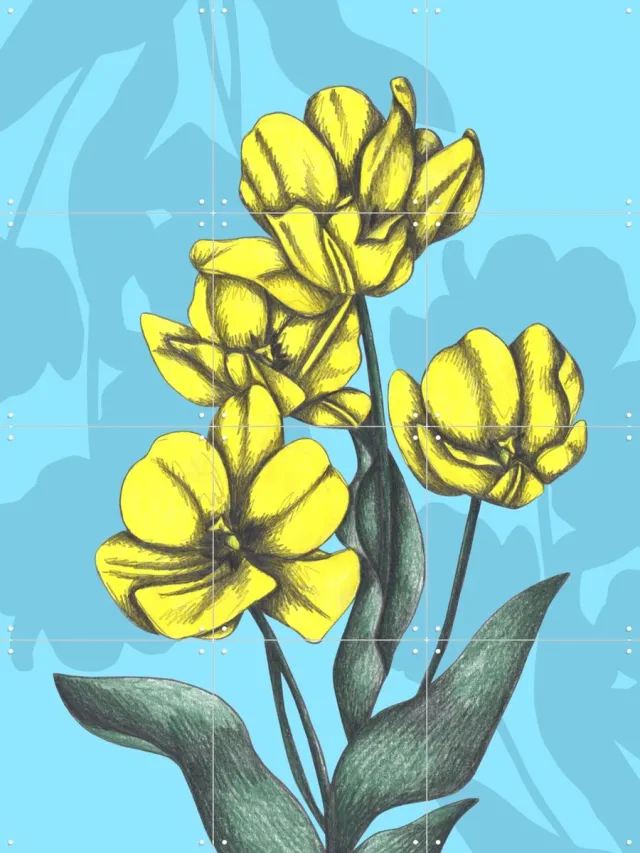 IXXI Yellow Tulips, Cecilia Battaini - 60 x 80 cm - Grote wanddecoratie en posters - Grafisch Ontwerp, Digitale Kunst, Illustraties, Slaapkamer Geel / Blauw