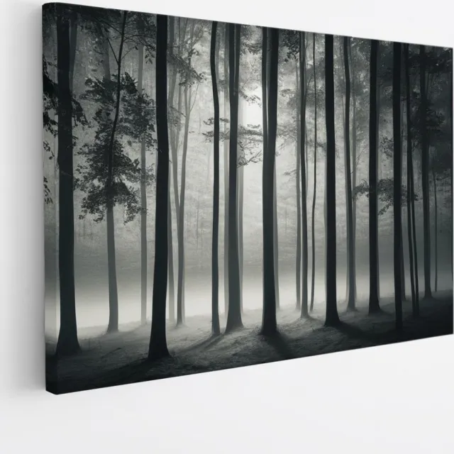 Saammp Canvas Schilderij - Zwart-Wit - Bomen - Landschap - Natuur - 70x50 - Foto op canvas - Wanddecoratie - Muurdecoratie Woonkamer - Slaapkamer decoratie - Canvas Print Multicolor