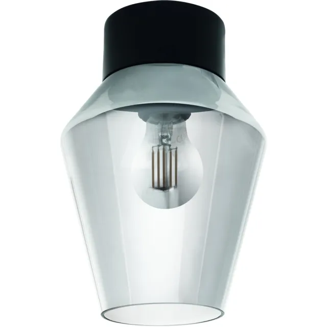 Eglo Verelli wand-/plafondlamp - 60 Watt E27 - 25 cm. - zwart