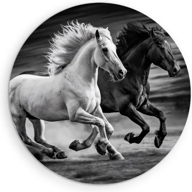 Saammp Forex Muurcirkel - 2 paarden - Zwart - Wit- Dieren - Natuur - Ø 90 - Wandcirkel - Wanddecoratie Cirkel - muurdecoratie Woonkamer - Slaapkamer decoratie - Rond Schilderij